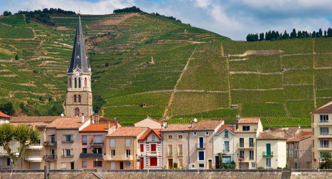 A riverside Village and Vineyards on the Hills of the Cote du Rhone Area in France.