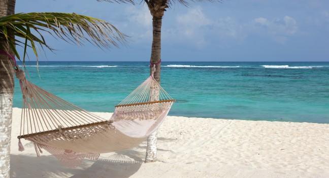 Idyllic beach with coconut trees and hammock at Mexico ; 