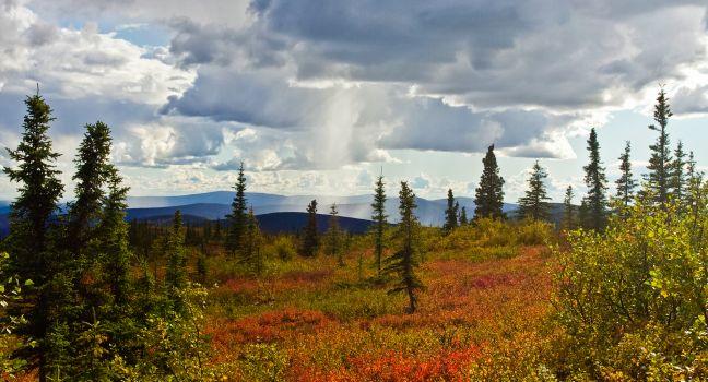 View in fall from the Summit Trail north of Fairbanks.
