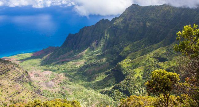 Wide angle panoramic view of the Kalalau Valley on the Na Pali Coast of Kauai, Hawaii. Taken from the Pu'u O Kila Lookout. Photo has white billowy clouds and a deep blue ocean in the background. Landscape shot, green foliage in foreground. cliffs in partia