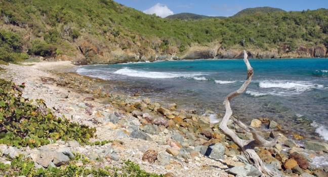 The colorful rocky shoreline at remote Reef Bay on the island of St. John in the US Virgin Islands