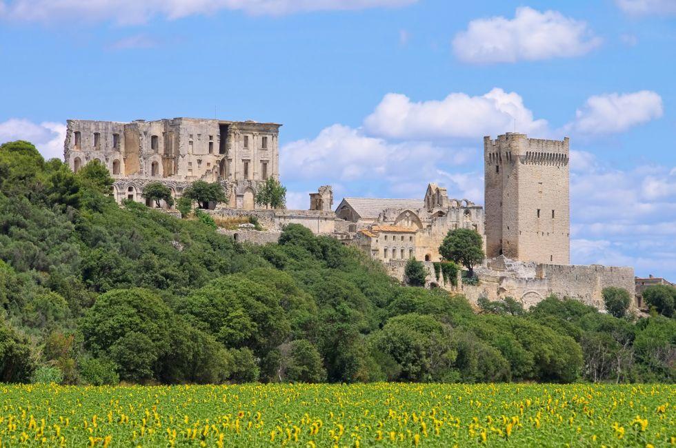 Abbaye de Montmajour in Provence, France.