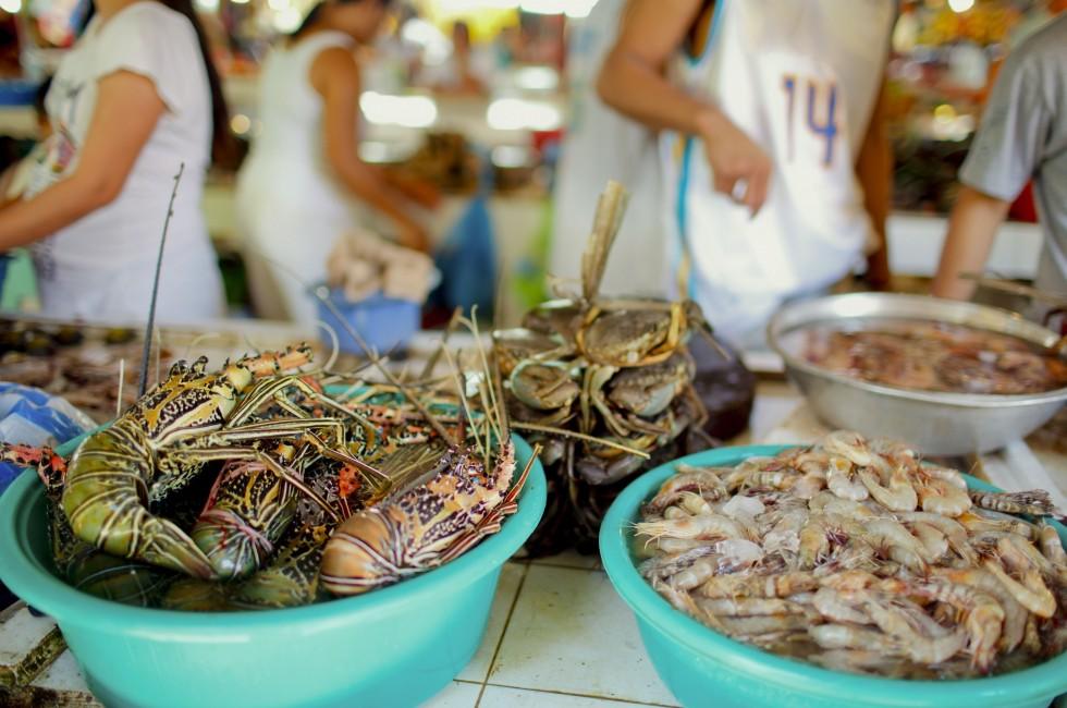 Exotic traditional seafood market on Boracay island in Philippines; 