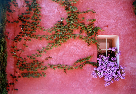 Provence pink wall